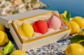Aesthetic Amalfi Fruit Trio Gift Set — Premium Beauty Sponge -Flawless Base(3-Piece)